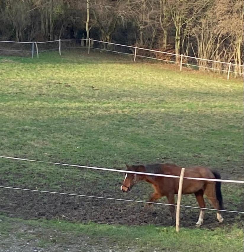 הוילה Andenne Le Ranch Des Aguesses מראה חיצוני תמונה
